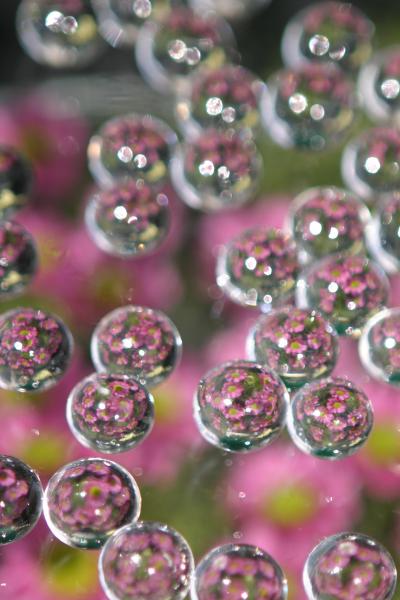 Wasser Perlen für Blumen